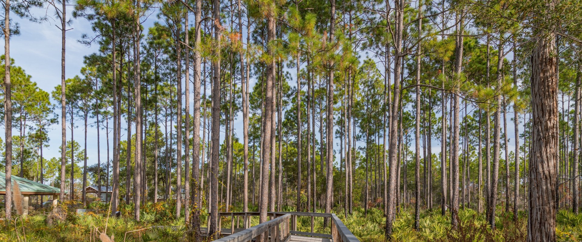 Exploring Educational Sites and Trails in Panama City, Florida