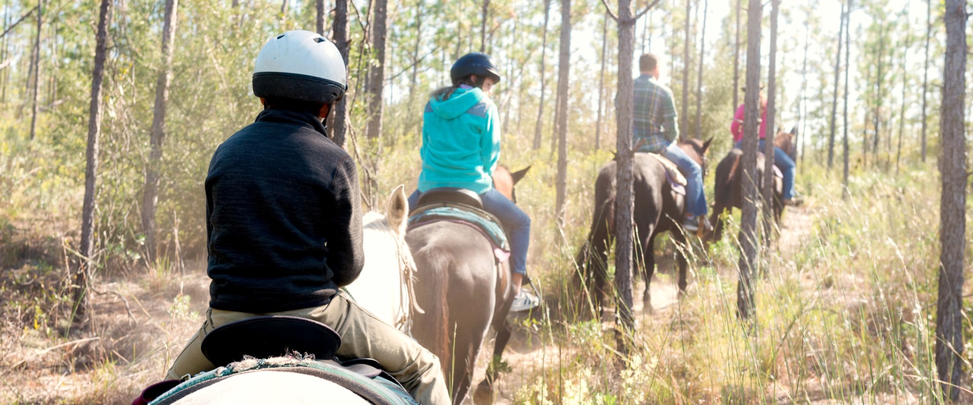 Experience the Outdoors in Panama City, Florida with Horseback Riding