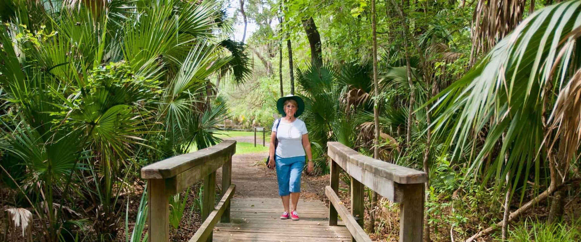 Exploring the Best Hiking Trails in Panama City, Florida