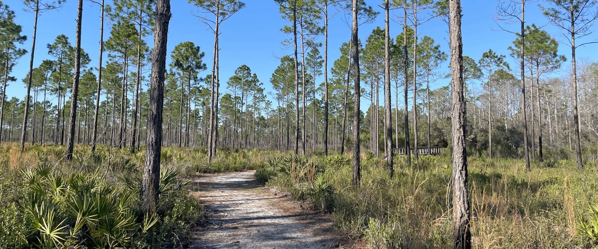 Exploring Nature Trails in Panama City Beach, Florida