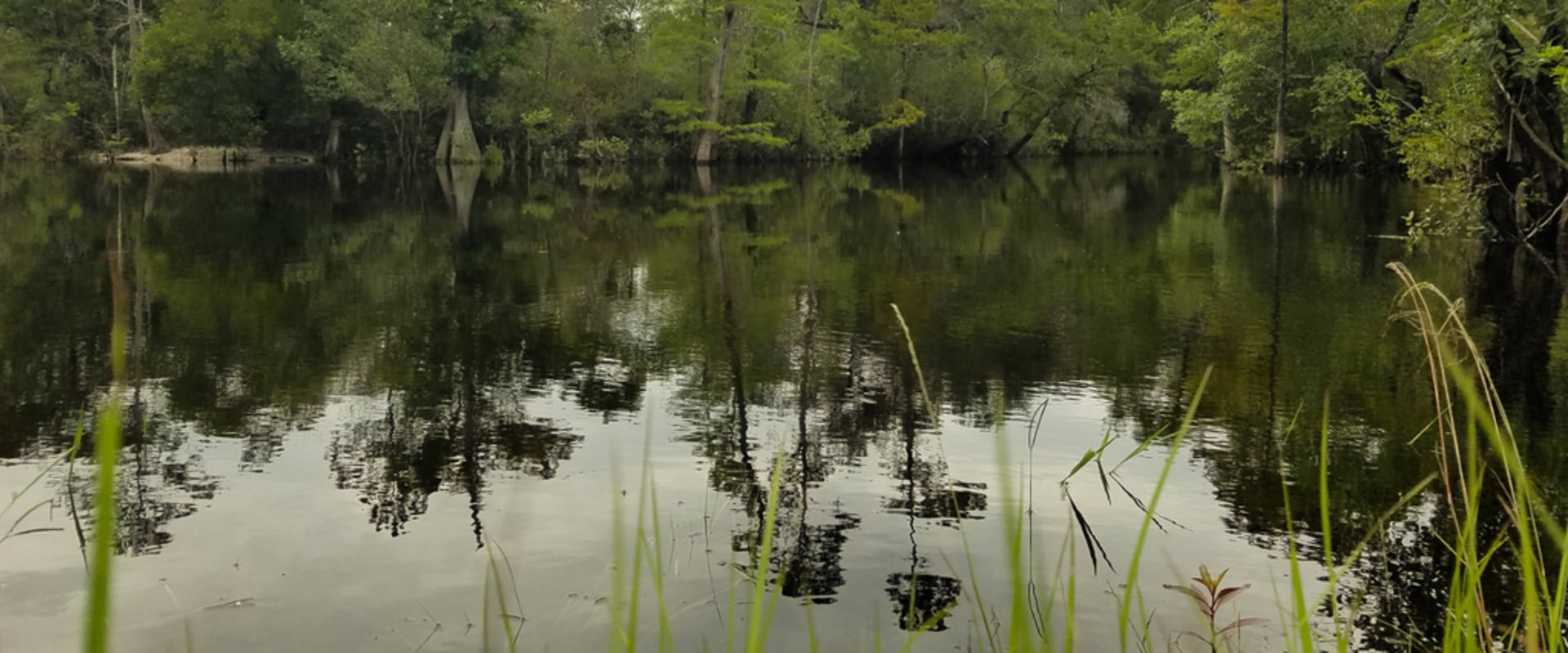 Exploring the Trails of Panama City Beach, Florida