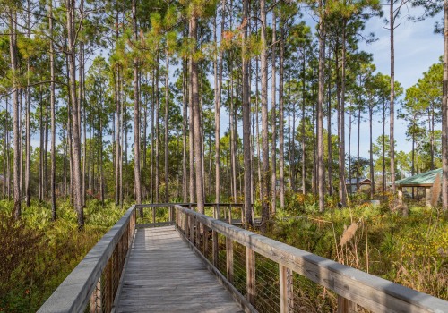 Explore the Best Running Trails in Panama City, Florida