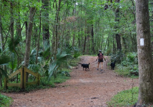 Can I Bring My Pet on a Trail Loop in Panama City, Florida?