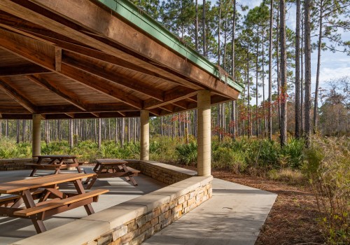 Picnic Areas Along Trails in Panama City, Florida - An Unforgettable Experience